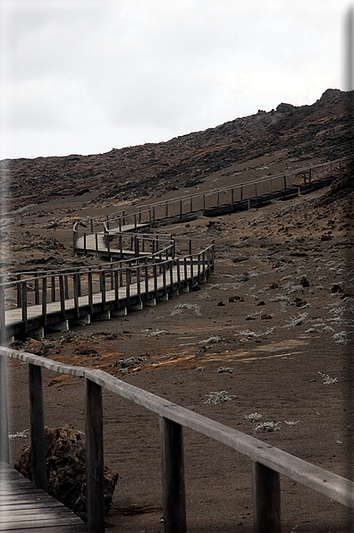 foto Isole Galapagos